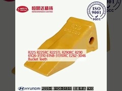 R225 R225RC R225TL R290RC R290 61Q6-31310 61N8-31310RC E262-3046 बाल्टी दांत